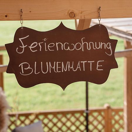 Wellness Pension Am Rain Winden im Elztal Exterior photo